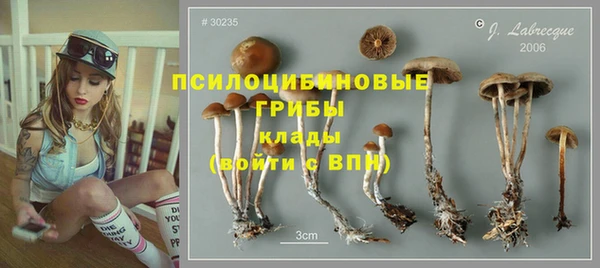 прущие крисы Алзамай