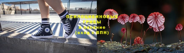 эйфоретик Алексеевка
